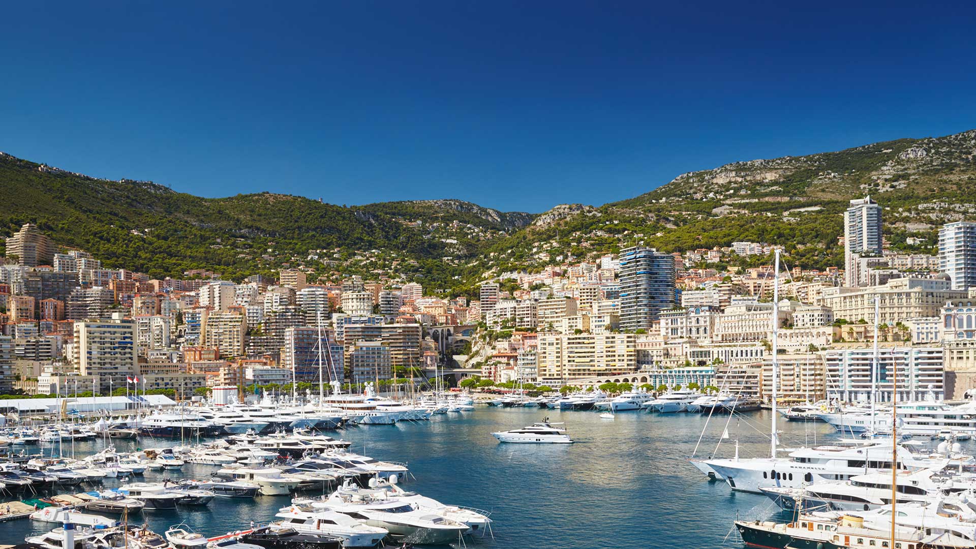 Monaco DMC